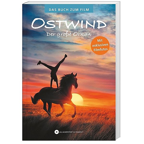 Der große Orkan / Ostwind Bd.6, Lea Schmidbauer