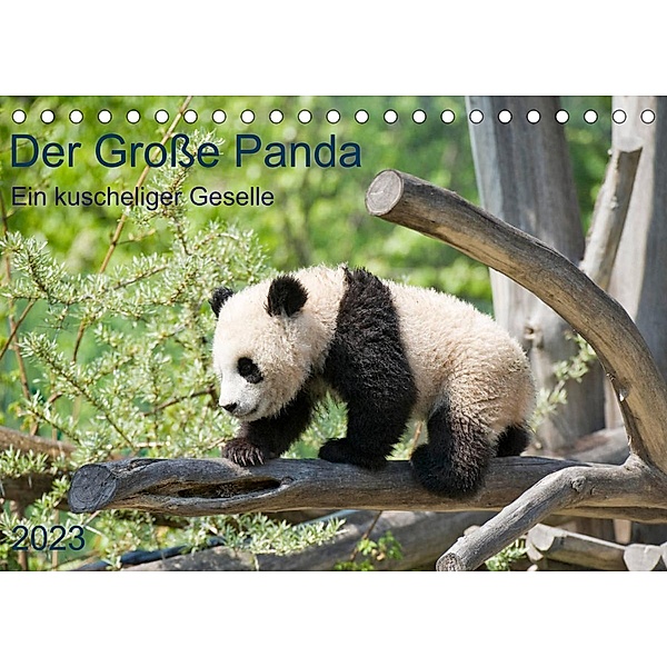 Der Große Panda Ein kuscheliger Geselle (Tischkalender 2023 DIN A5 quer), Prime Selection