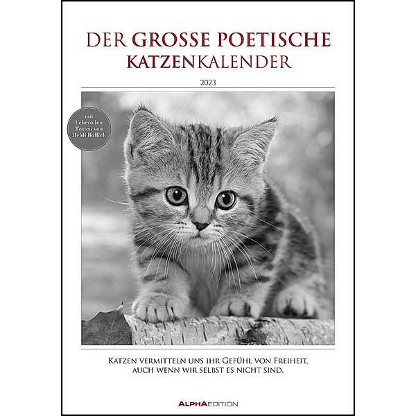 Der große poetische Katzenkalender 2023 - Bildkalender A3 (29,7x42 cm) - mit schönen Zitaten - schwarz-weiß - Tierkalend