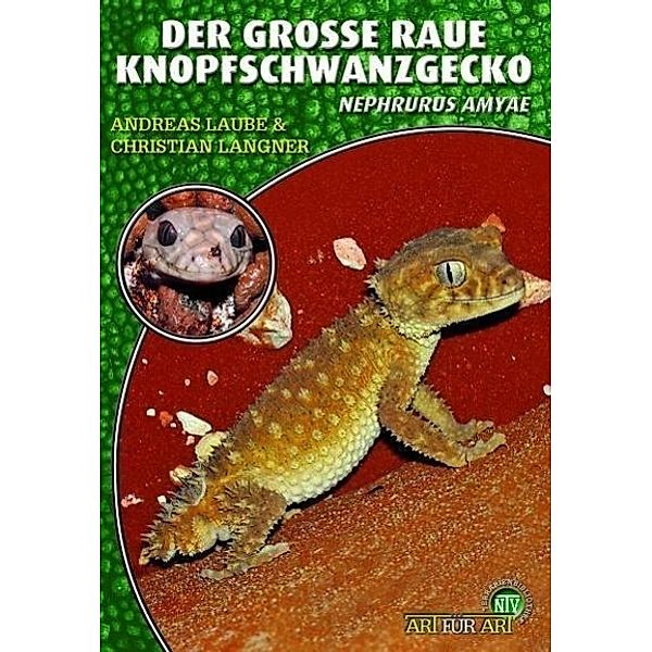 Der Grosse Raue Knopfschwanzgecko, Andreas Laube, Christian Langner