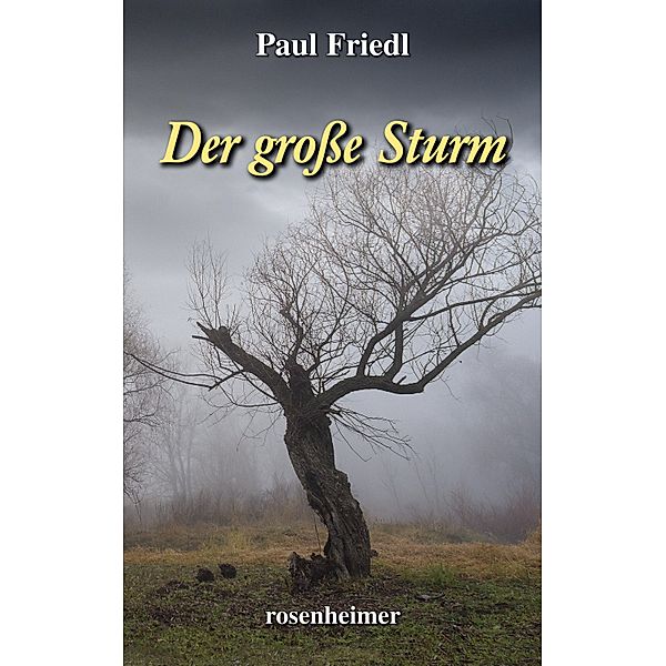 Der grosse Sturm, Paul Friedl