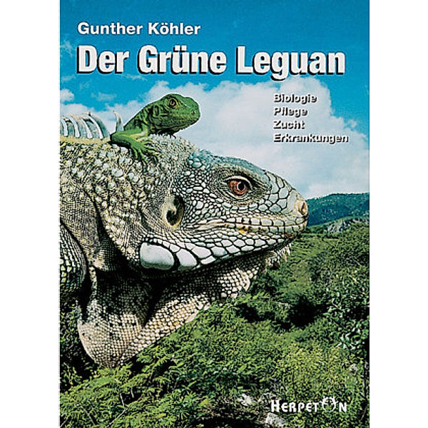 Der Grüne Leguan, Gunther Köhler