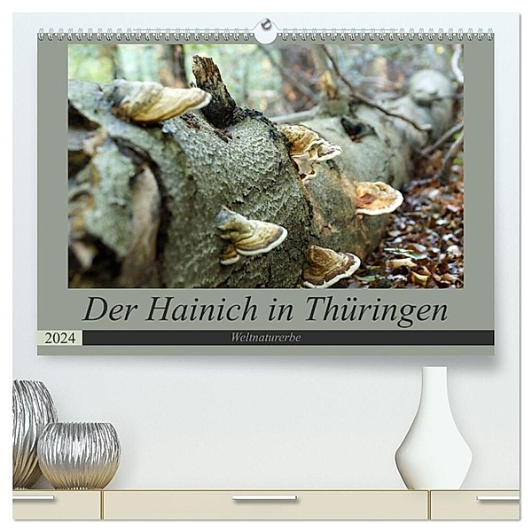 Der Hainich in Thüringen - Weltnaturerbe (hochwertiger Premium Wandkalender 2024 DIN A2 quer), Kunstdruck in Hochglanz, Flori0