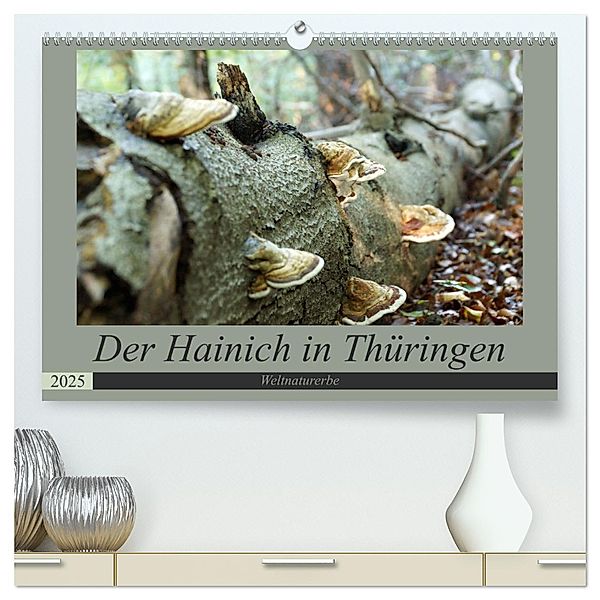 Der Hainich in Thüringen - Weltnaturerbe (hochwertiger Premium Wandkalender 2025 DIN A2 quer), Kunstdruck in Hochglanz, Calvendo, Flori0