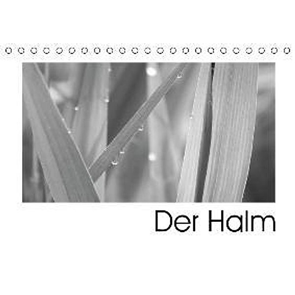 Der Halm (Tischkalender 2016 DIN A5 quer), Ute Stehlmann