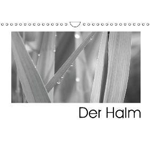 Der Halm (Wandkalender 2016 DIN A4 quer), Ute Stehlmann