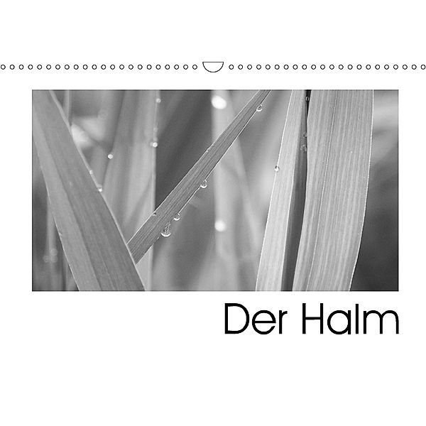 Der Halm (Wandkalender 2018 DIN A3 quer), Ute Stehlmann