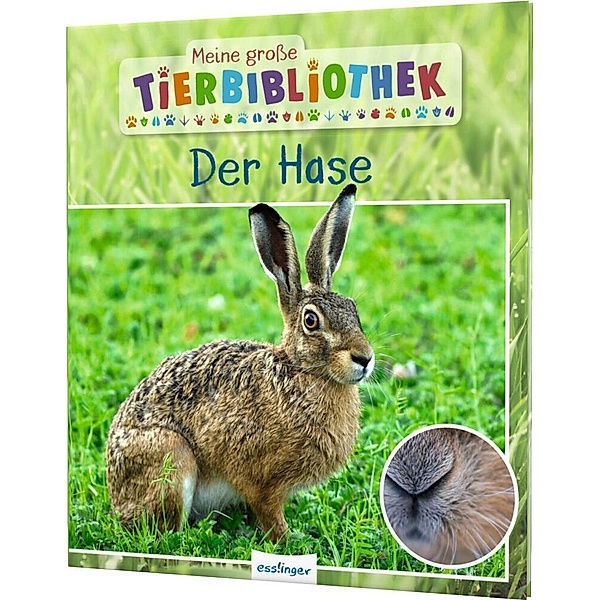Der Hase / Meine große Tierbibliothek Bd.11, Jens Poschadel