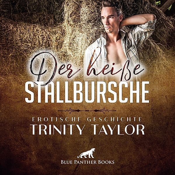 Der heiße Stallbursche,Audio-CD, Trinity Taylor