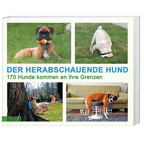 Der herabschauende Hund