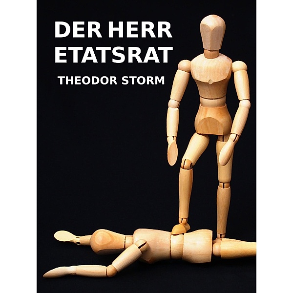 Der Herr Etatsrat, Theodor Storm