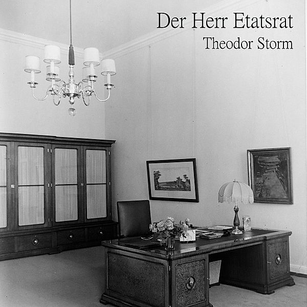 Der Herr Etatsrat,Audio-CD, MP3, Theodor Storm