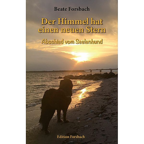 Der Himmel hat einen neuen Stern, Beate Forsbach