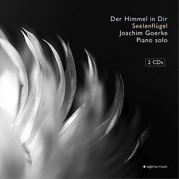 Der Himmel in Dir (Piano Songs for Silence Vol. III) & Seelenflügel, 2 Audio-CD, Joachim Goerke