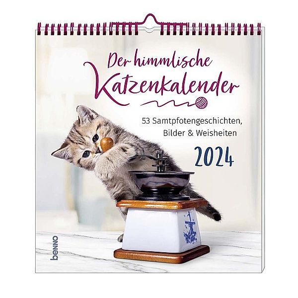 Der himmlische Katzenkalender 2024, Heike Wendler