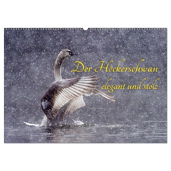 Der Höckerschwan elegant und stolz (Wandkalender 2024 DIN A2 quer), CALVENDO Monatskalender, Wilfried Martin (GDT)