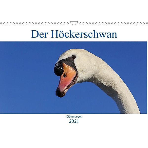 Der Höckerschwan - Göttervogel (Wandkalender 2021 DIN A3 quer), Alexander von Düren, Alexander von Düren