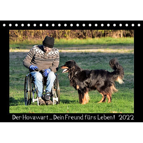 Der Hovawart... Dein Freund fürs Leben ! (Tischkalender 2022 DIN A5 quer), Jens Siebert