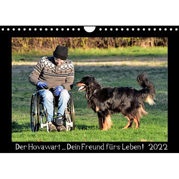 Der Hovawart... Dein Freund fürs Leben ! (Wandkalender 2022 DIN A4 quer), Jens Siebert