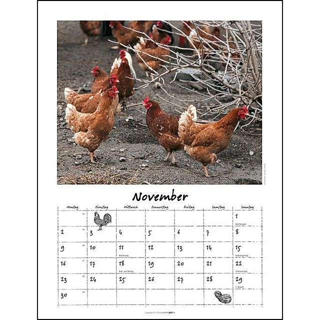 Der Hühnerkalender 2020 - Kalender bei Weltbild.de bestellen
