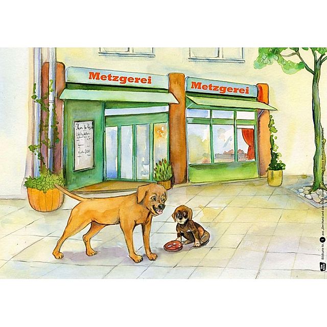 Der Hund und das Stück Fleisch. Eine Fabel von Äsop. Kamishibai  Bildkartenset. | Weltbild.ch
