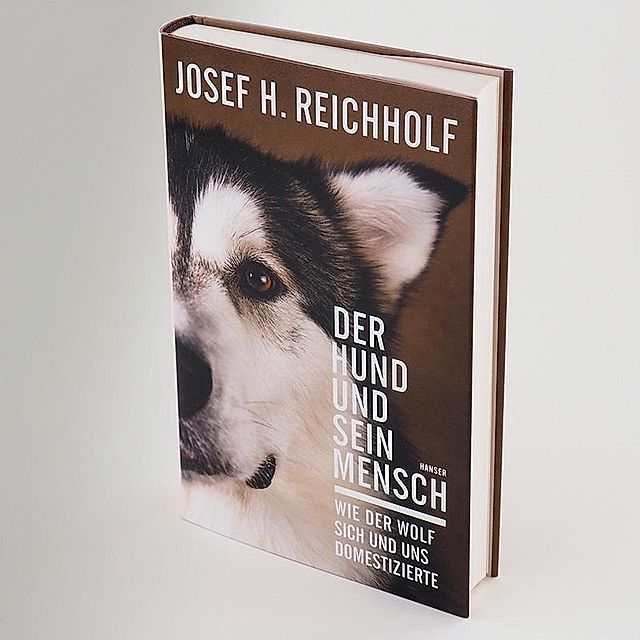 Der Hund und sein Mensch Buch versandkostenfrei bei Weltbild.de bestellen