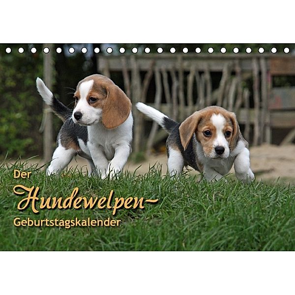 Der Hundewelpen-Geburtstagskalender (Tischkalender immerwährend DIN A5 quer), Antje Lindert-Rottke
