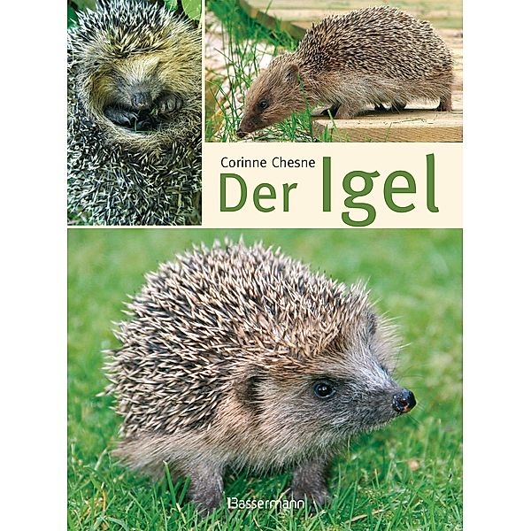 Der Igel, Corinne Chesne