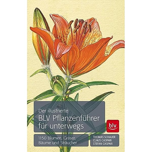 Der illustrierte BLV Pflanzenführer für unterwegs, Thomas Schauer, Claus Caspari, Stefan Caspari