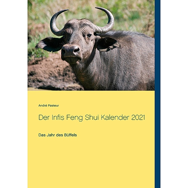 Der Infis Feng Shui Kalender 2021, André Pasteur