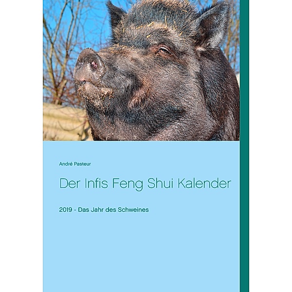 Der Infis Feng Shui Kalender, André Pasteur