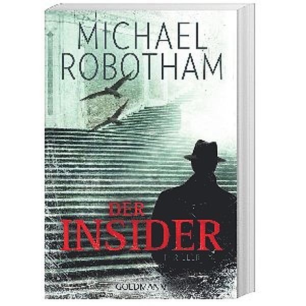 Der Insider / Joe O'Loughlin & Vincent Ruiz Bd.6, Michael Robotham