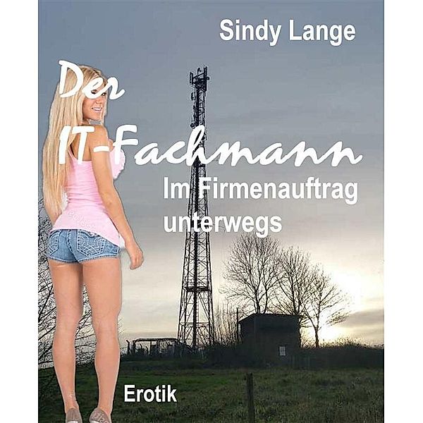 Der IT-Fachmann, Sindy Lange