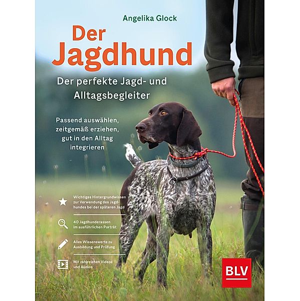 Der Jagdhund - perfekter Jagd- und Alltagsbegleiter, Angelika Glock