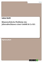 Der Jahresabschluss bei der GmbH & Co KG - eBook - Lukas Hechl,