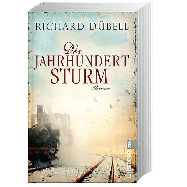 Der Jahrhundertsturm / Jahrhundertsturm Trilogie Bd.1, Richard Dübell