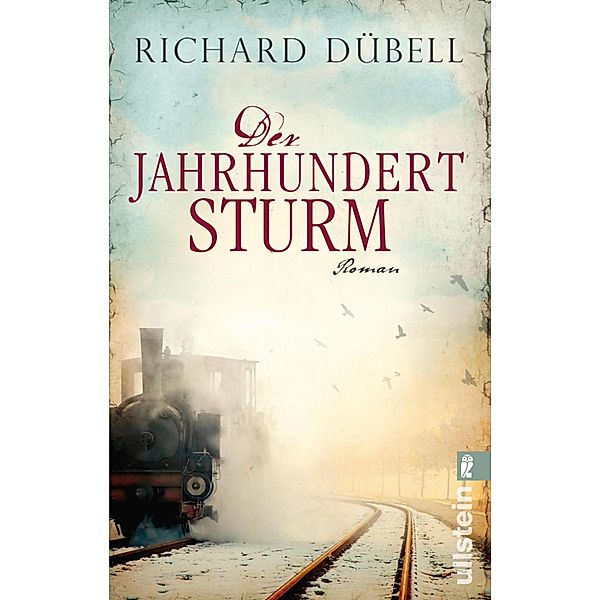 Der Jahrhundertsturm / Jahrhundertsturm Trilogie Bd.1, Richard Dübell