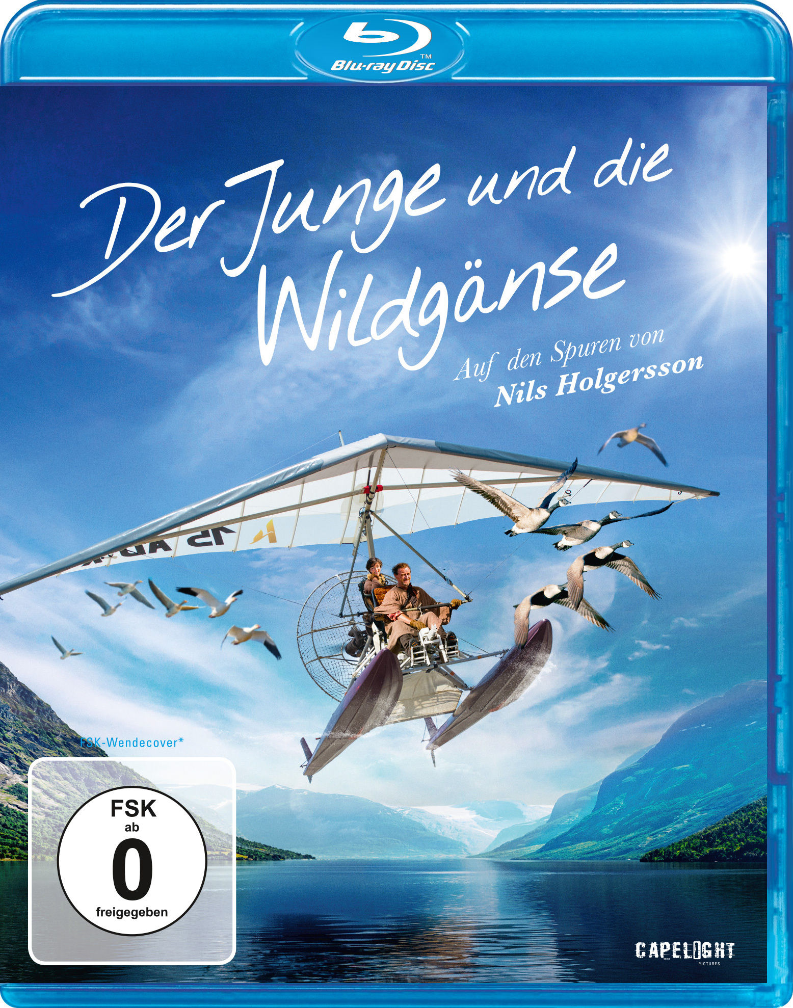 Image of Der Junge und die Wildgänse