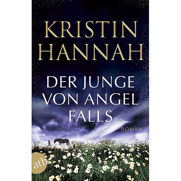 Der Junge von Angel Falls, Kristin Hannah