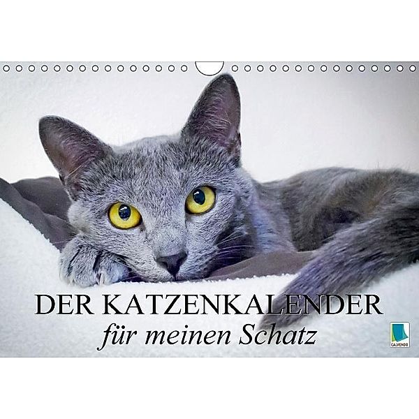 Der Katzenkalender für meinen Schatz (Wandkalender 2017 DIN A4 quer), CALVENDO, k.A. CALVENDO