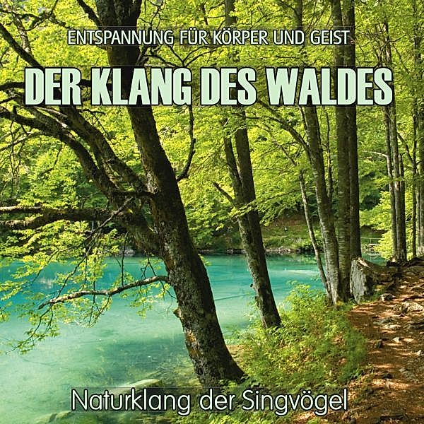 Der Klang des Waldes - Naturklang der Singvögel, Electric Air Project