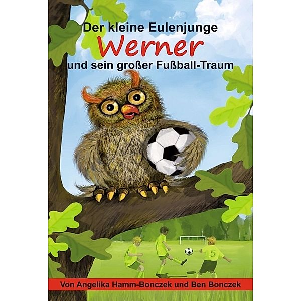 Der kleine Eulenjunge Werner und sein großer Fußball-Traum, Angelika Hamm-Bonczek