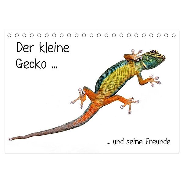 Der kleine Gecko und seine Freunde (Tischkalender 2024 DIN A5 quer), CALVENDO Monatskalender, Klaus Eppele