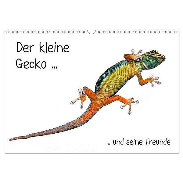 Der kleine Gecko und seine Freunde (Wandkalender 2024 DIN A3 quer), CALVENDO Monatskalender, Klaus Eppele