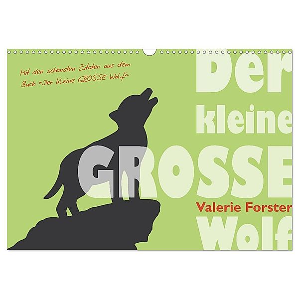 Der kleine GROSSE Wolf - Kalender (Wandkalender 2024 DIN A3 quer), CALVENDO Monatskalender, Valerie Forster