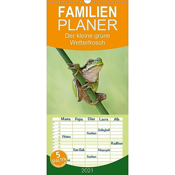 Der kleine grüne Wetterfrosch - Familienplaner hoch (Wandkalender 2021 , 21 cm x 45 cm, hoch), Beate Wurster