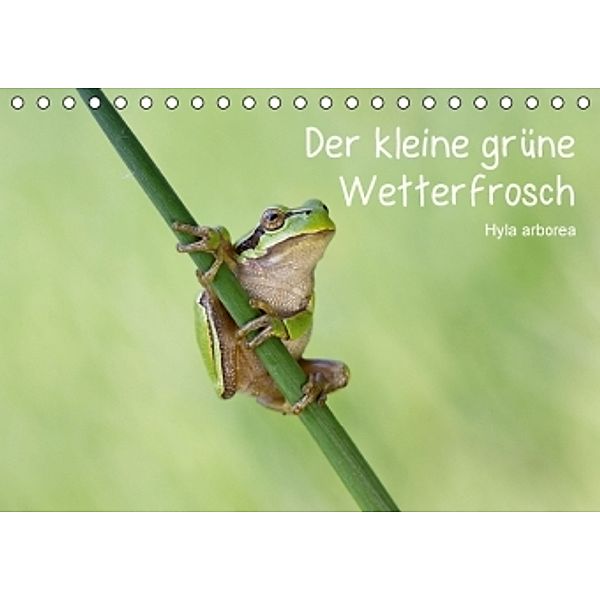Der kleine grüne Wetterfrosch (Tischkalender 2015 DIN A5 quer), Beate Wurster