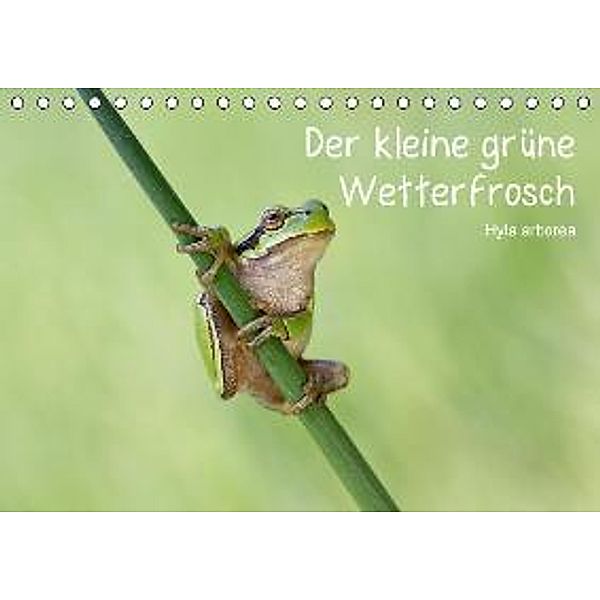 Der kleine grüne Wetterfrosch (Tischkalender 2016 DIN A5 quer), Beate Wurster