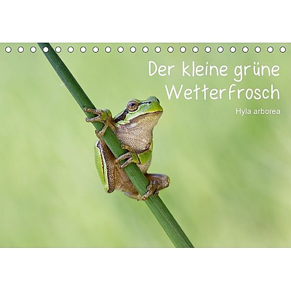 Der kleine grüne Wetterfrosch (Tischkalender 2018 DIN A5 quer), Beate Wurster