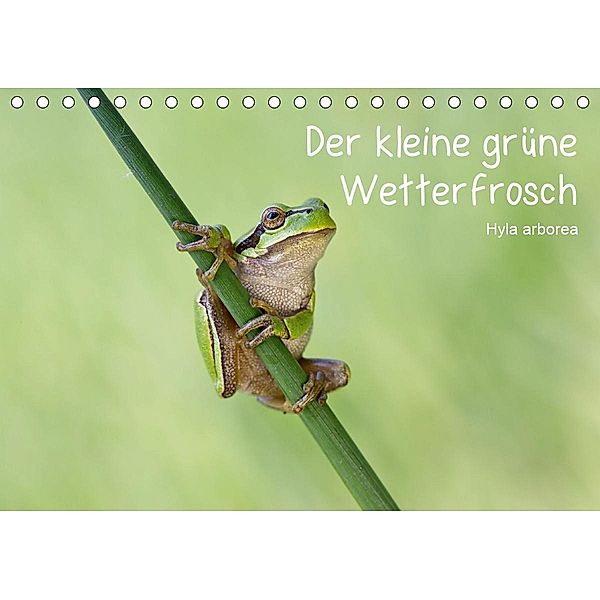 Der kleine grüne Wetterfrosch (Tischkalender 2021 DIN A5 quer), Beate Wurster